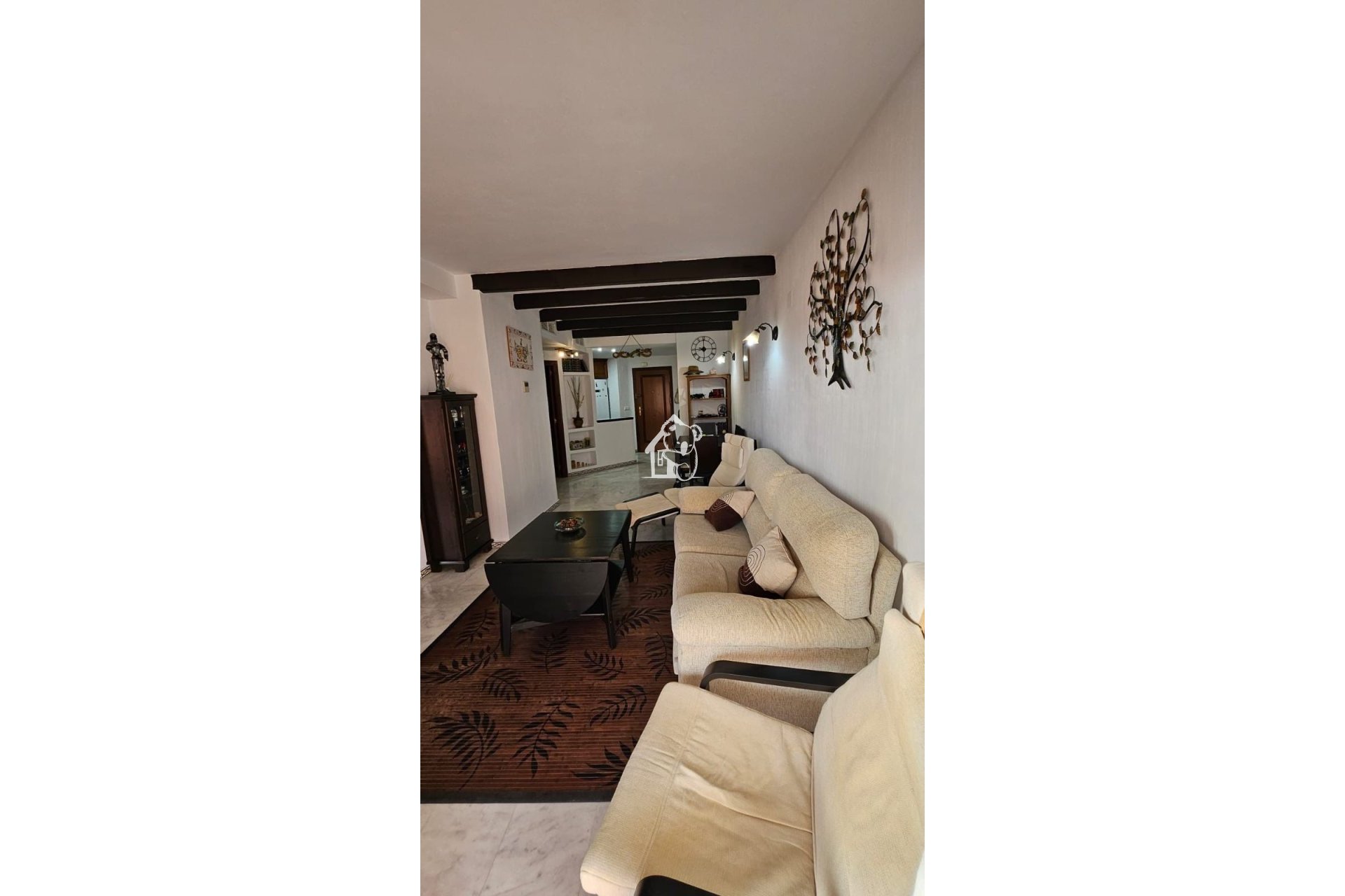 Alquiler - Apartamento / piso - Torrevieja - Torrevieja Centro