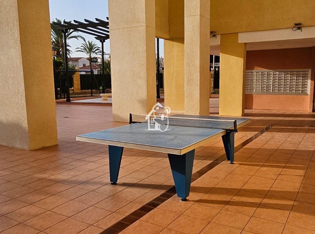 Alquiler - Apartamento / piso - Torrevieja - Torrevieja Centro