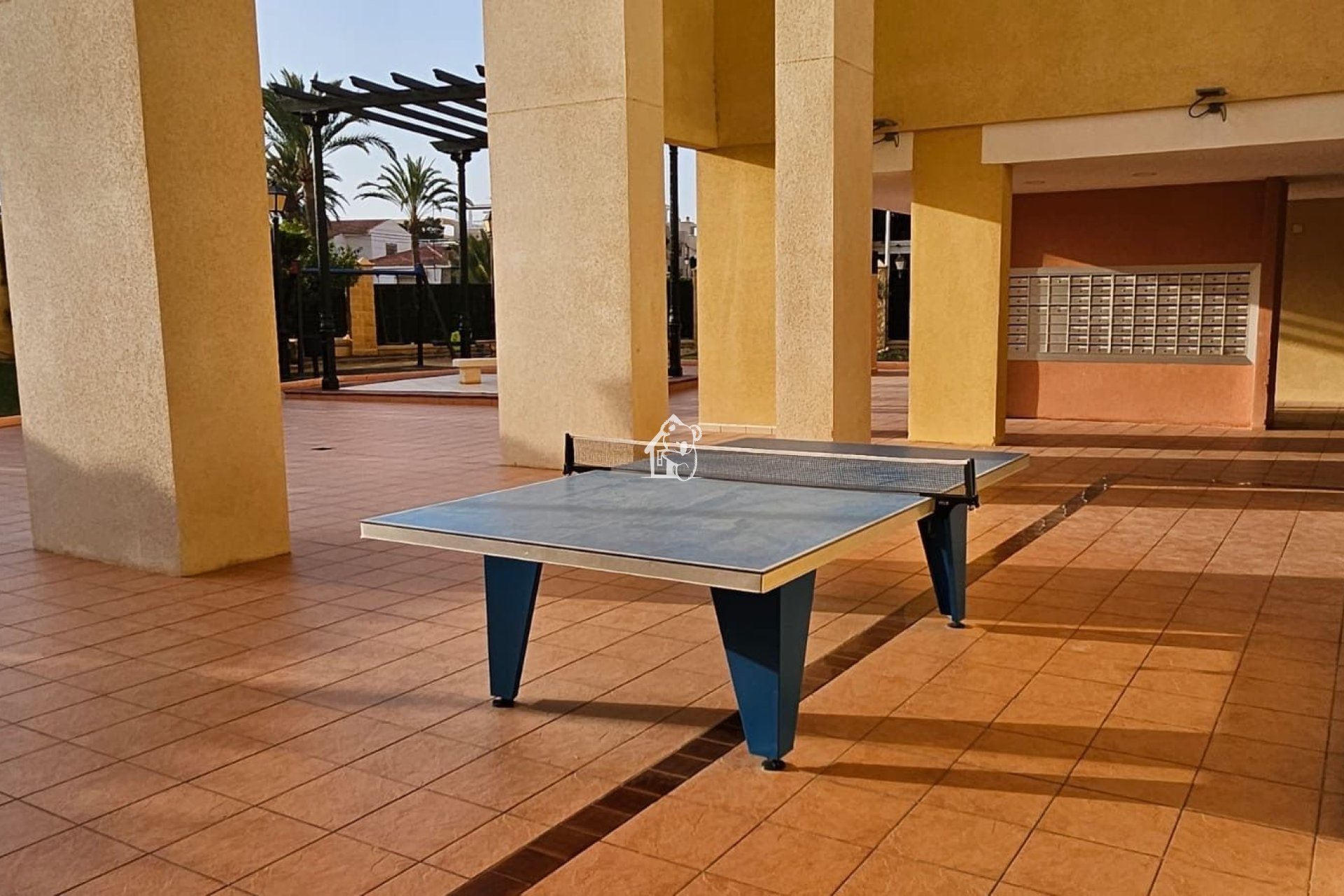 Alquiler - Apartamento / piso - Torrevieja - Torrevieja Centro