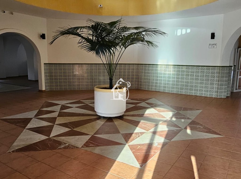 Alquiler - Apartamento / piso - Torrevieja - Torrevieja Centro