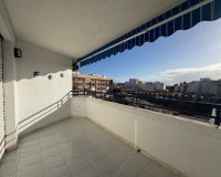 Alquiler - Apartamento / piso - Torrevieja - Torrevieja Centro