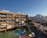 Alquiler - Apartamento / piso - Torrevieja - Torrevieja Centro
