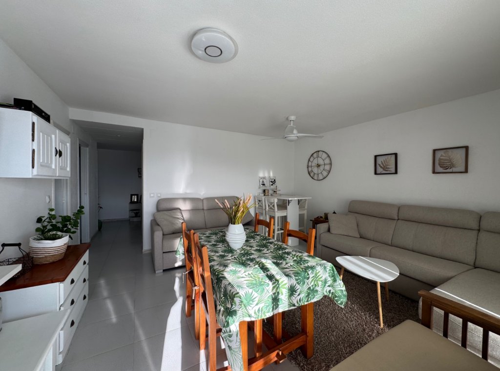 Alquiler - Apartamento / piso - Torrevieja - Torrevieja Centro