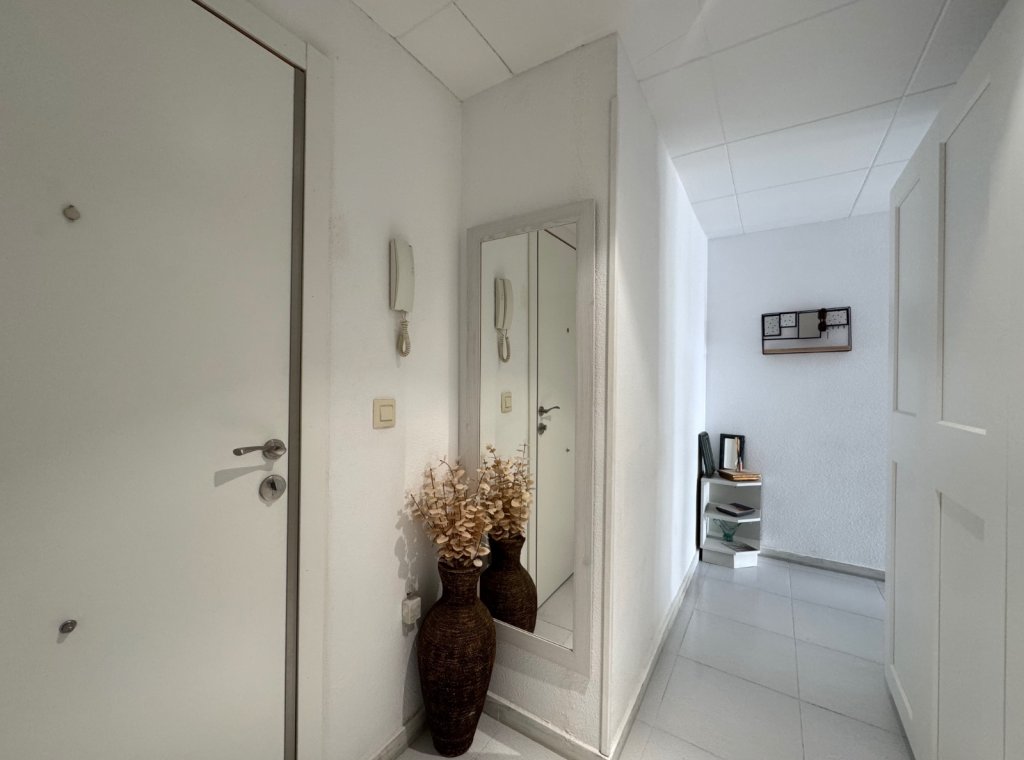 Alquiler - Apartamento / piso - Torrevieja - Torrevieja Centro