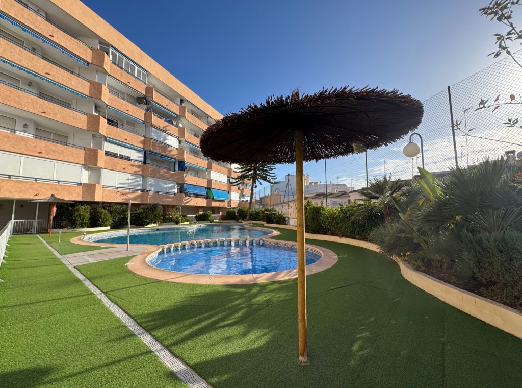 Alquiler - Apartamento / piso - Torrevieja - Torrevieja Centro