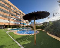 Alquiler - Apartamento / piso - Torrevieja - Torrevieja Centro