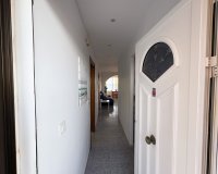 Alquiler - Apartamento / piso - Torrevieja