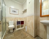 Alquiler - Apartamento / piso - Torrevieja