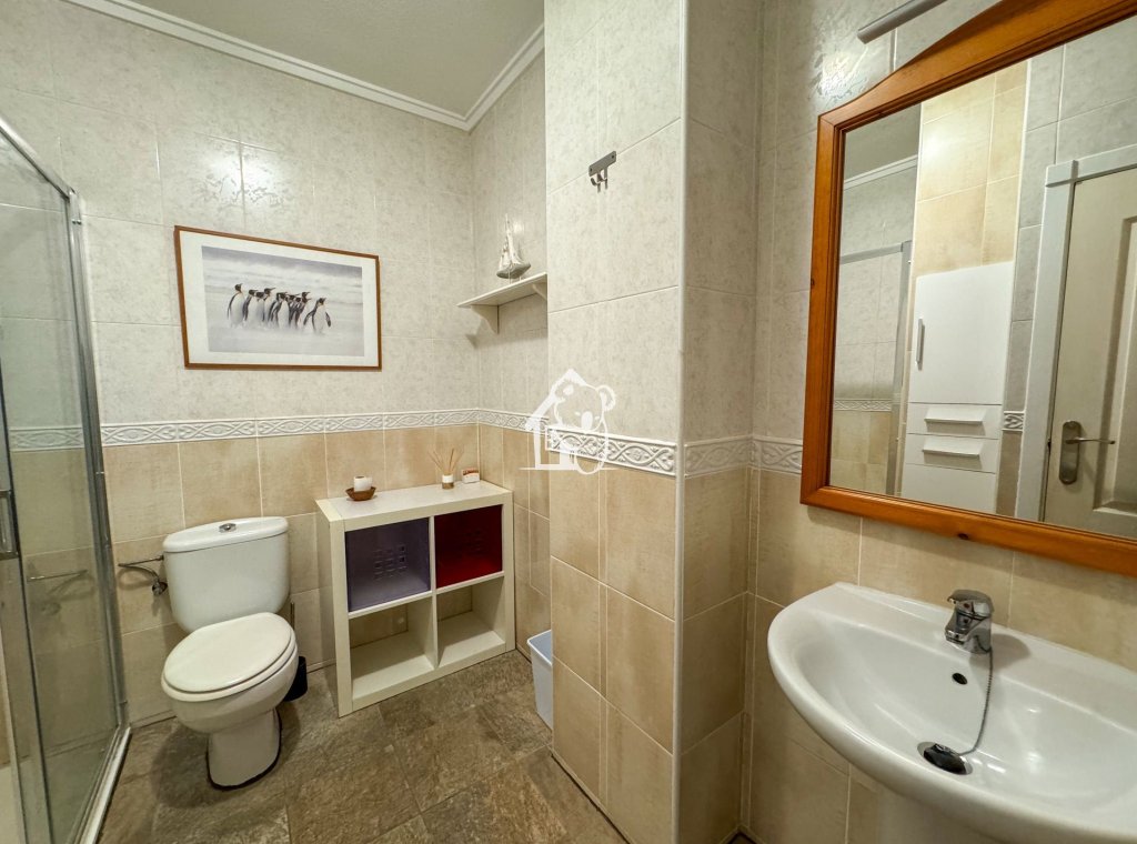 Alquiler - Apartamento / piso - Torrevieja