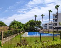 Alquiler - Apartamento / piso - Torrevieja