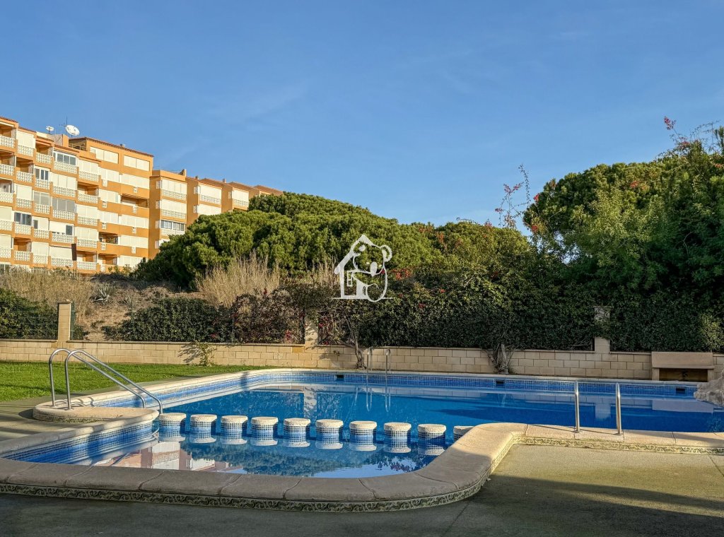 Alquiler - Apartamento / piso - Torrevieja