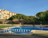 Alquiler - Apartamento / piso - Torrevieja