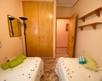 Alquiler - Apartamento / piso - Torrevieja