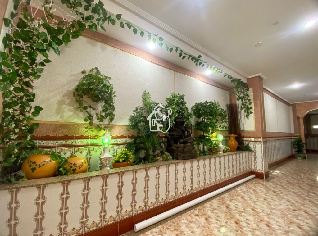 Alquiler - Apartamento / piso - Torrevieja