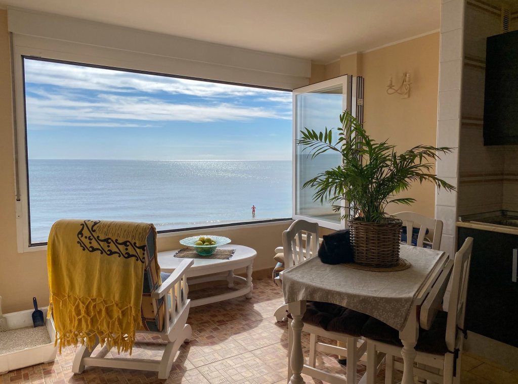Alquiler - Apartamento / piso - Torrevieja