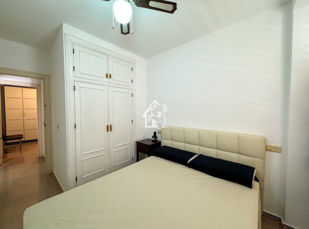 Alquiler - Apartamento / piso - Torrevieja