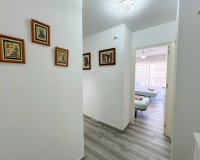 Alquiler - Apartamento / piso - Torrevieja