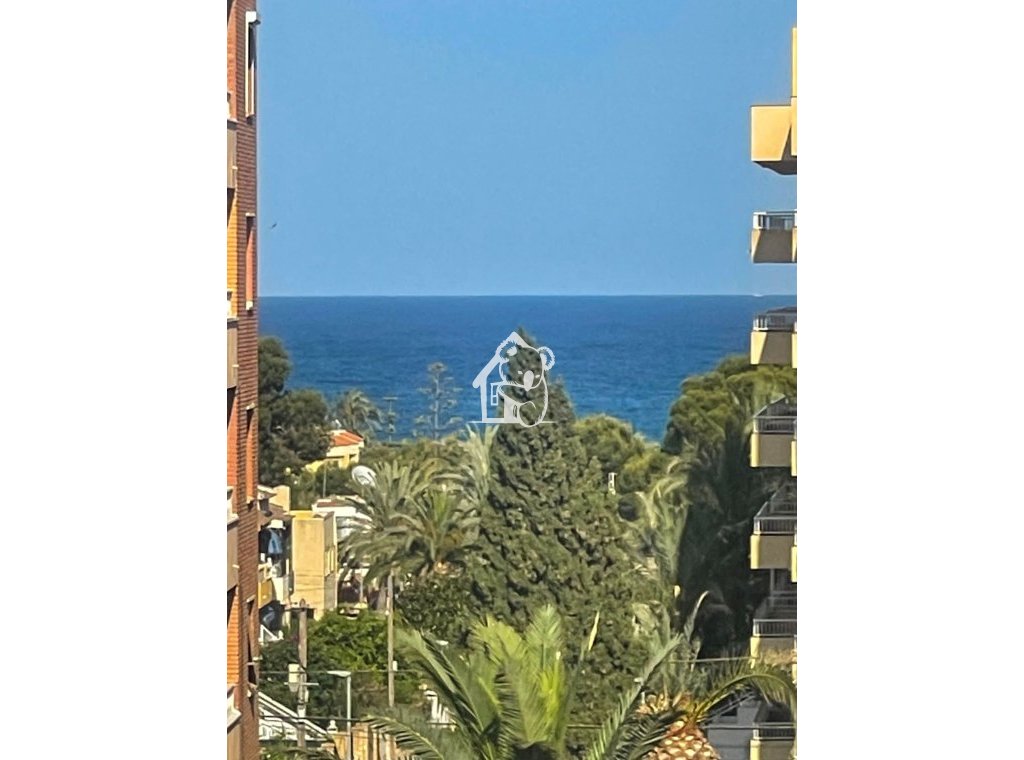 Alquiler - Apartamento / piso - Torrevieja