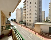 Alquiler - Apartamento / piso - Torrevieja