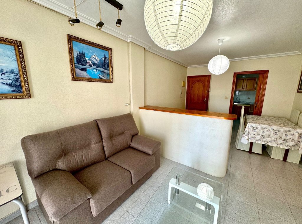 Alquiler - Apartamento / piso - Torrevieja