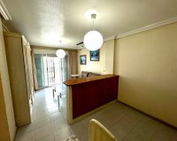 Alquiler - Apartamento / piso - Torrevieja
