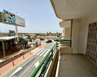 Alquiler - Apartamento / piso - Torrevieja