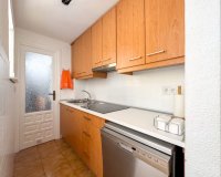 Alquiler - Apartamento / piso - Torrevieja