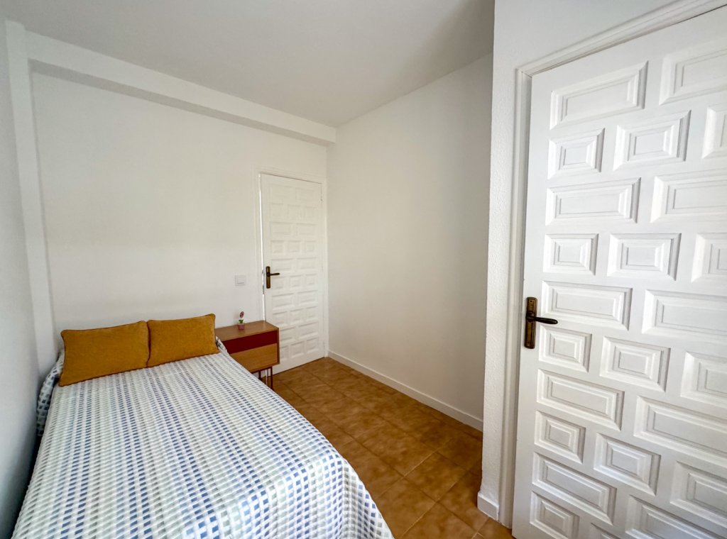 Alquiler - Apartamento / piso - Torrevieja