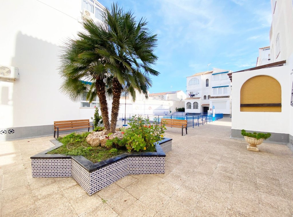 Alquiler - Apartamento / piso - Torrevieja