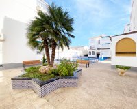 Alquiler - Apartamento / piso - Torrevieja