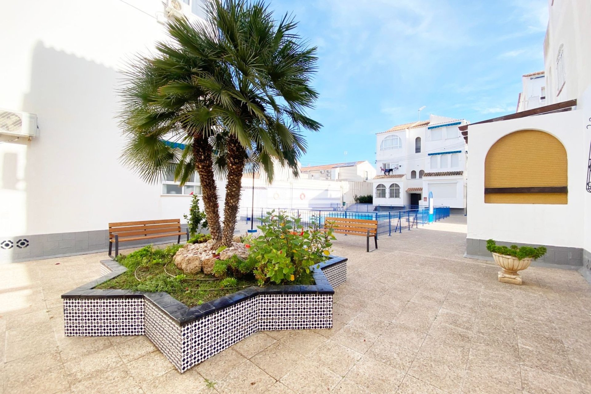 Alquiler - Apartamento / piso - Torrevieja