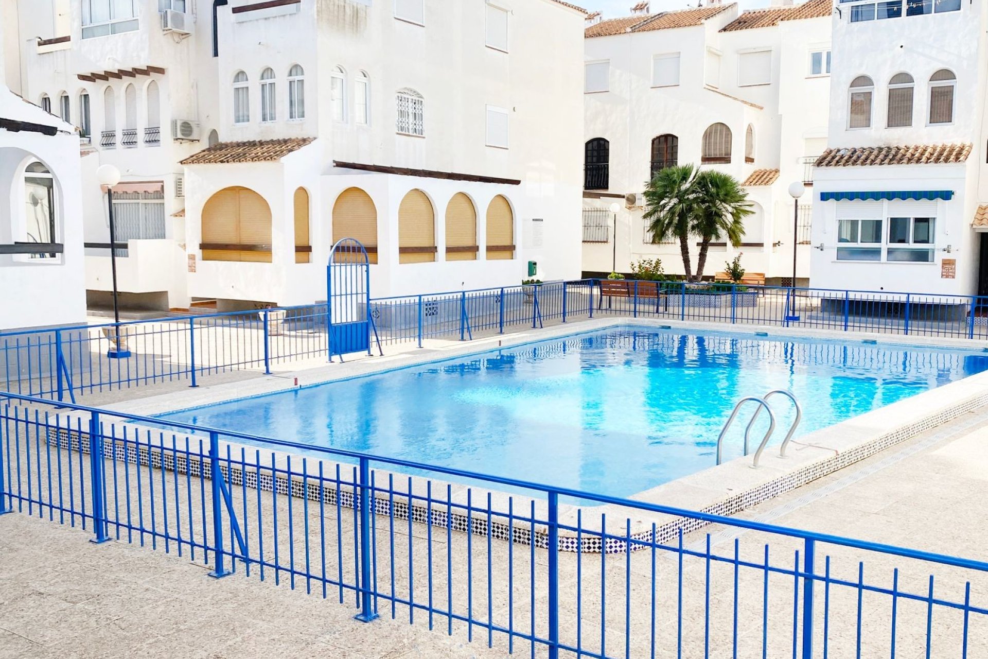 Alquiler - Apartamento / piso - Torrevieja
