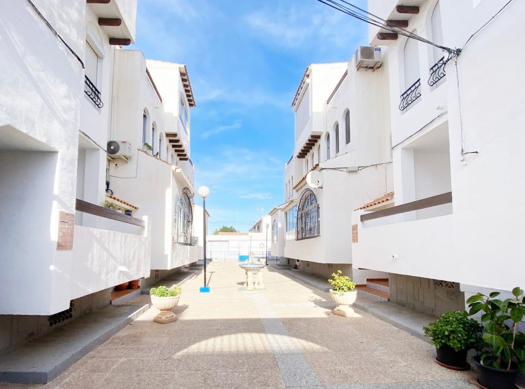 Alquiler - Apartamento / piso - Torrevieja