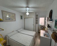 Alquiler - Apartamento / piso - Torrevieja