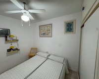 Alquiler - Apartamento / piso - Torrevieja