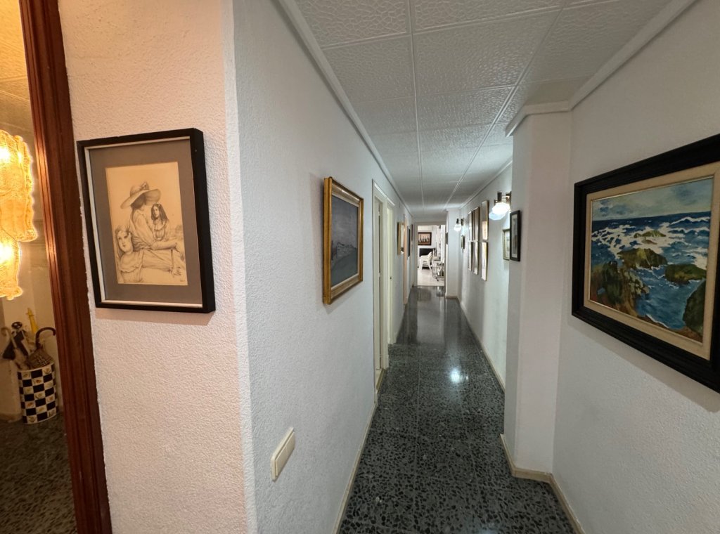 Alquiler - Apartamento / piso - Torrevieja