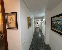 Alquiler - Apartamento / piso - Torrevieja