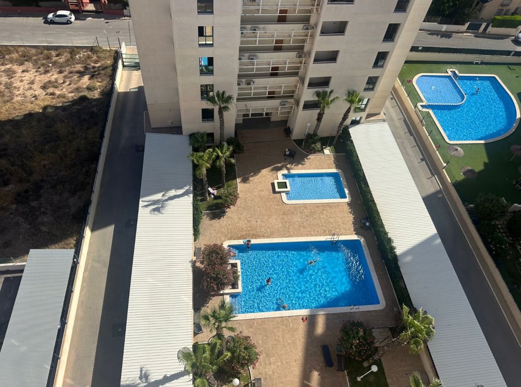 Alquiler - Apartamento / piso - Torrevieja