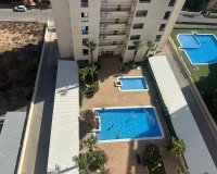 Alquiler - Apartamento / piso - Torrevieja
