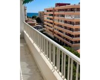 Alquiler - Apartamento / piso - Torrevieja