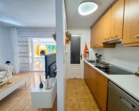 Alquiler - Apartamento / piso - Torrevieja