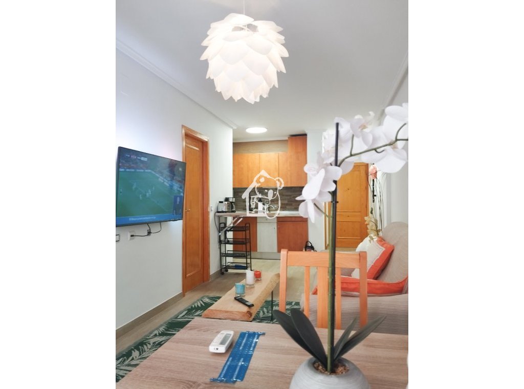 Alquiler - Apartamento / piso - Torrevieja