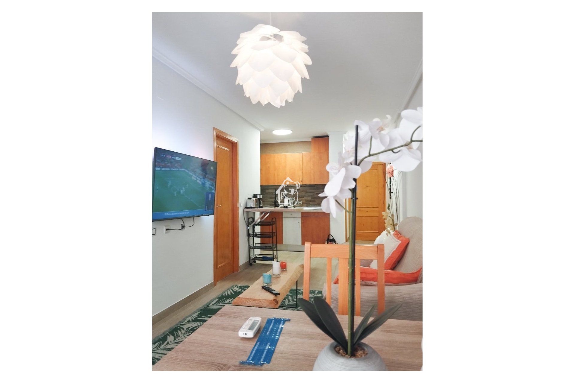 Alquiler - Apartamento / piso - Torrevieja