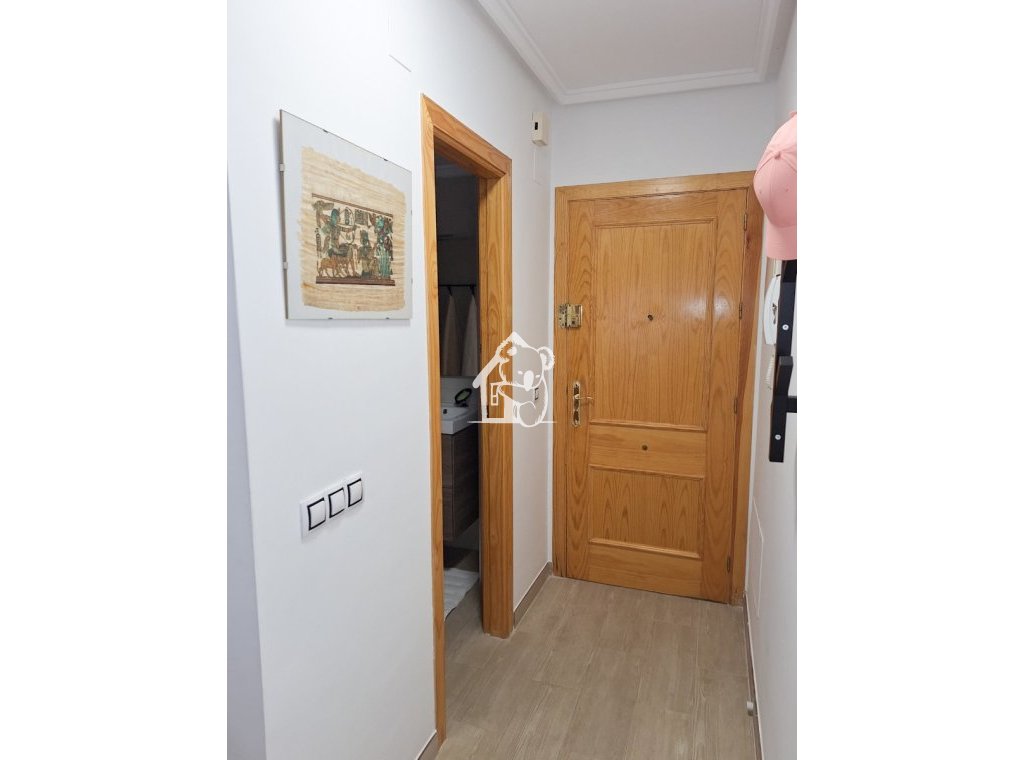 Alquiler - Apartamento / piso - Torrevieja