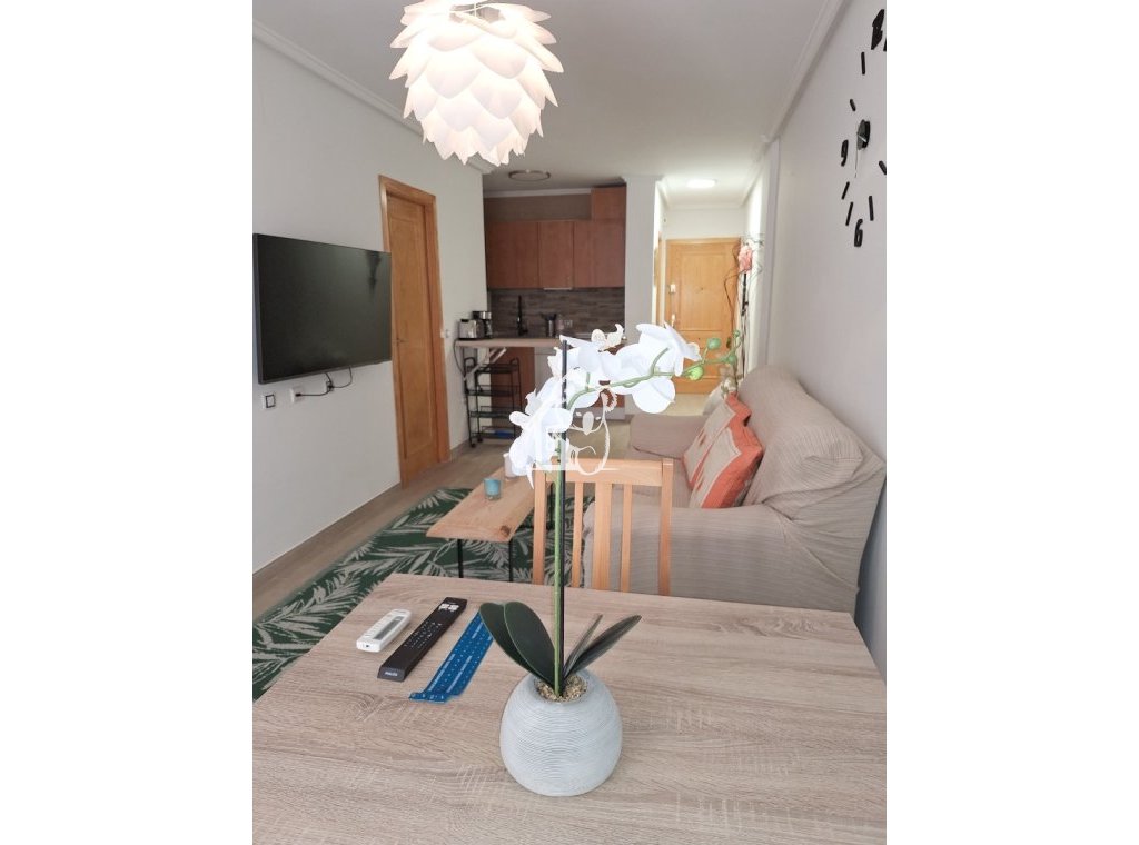 Alquiler - Apartamento / piso - Torrevieja
