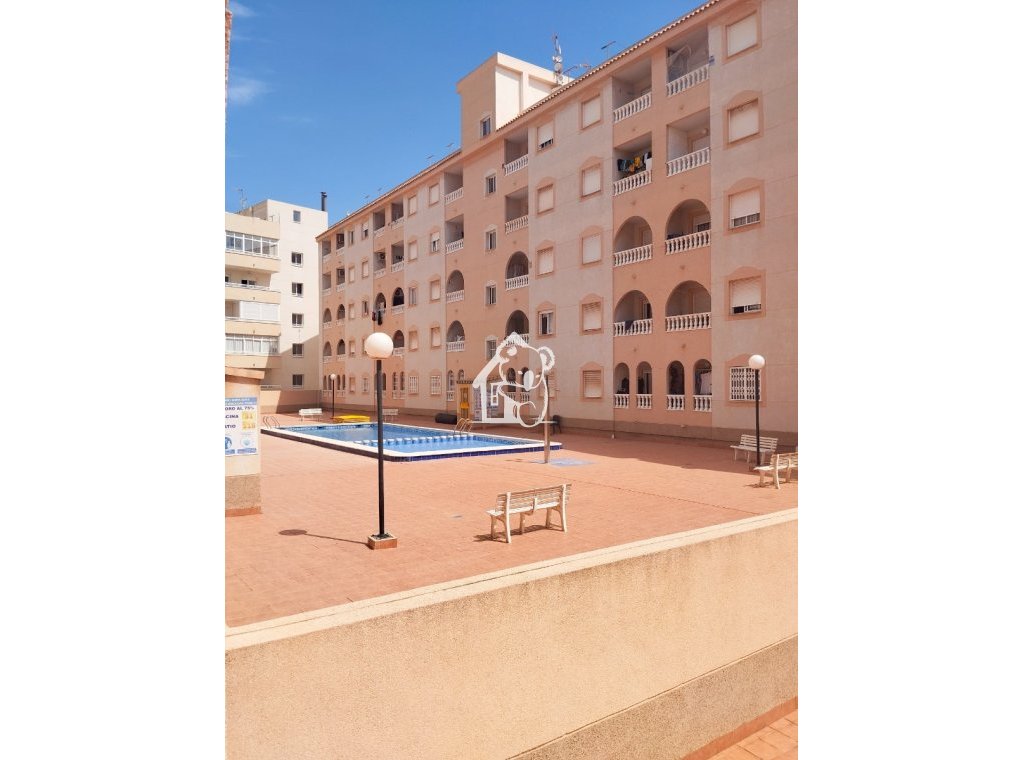 Alquiler - Apartamento / piso - Torrevieja