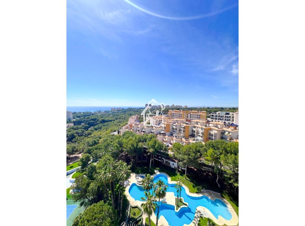 Alquiler - Ático - Orihuela Costa