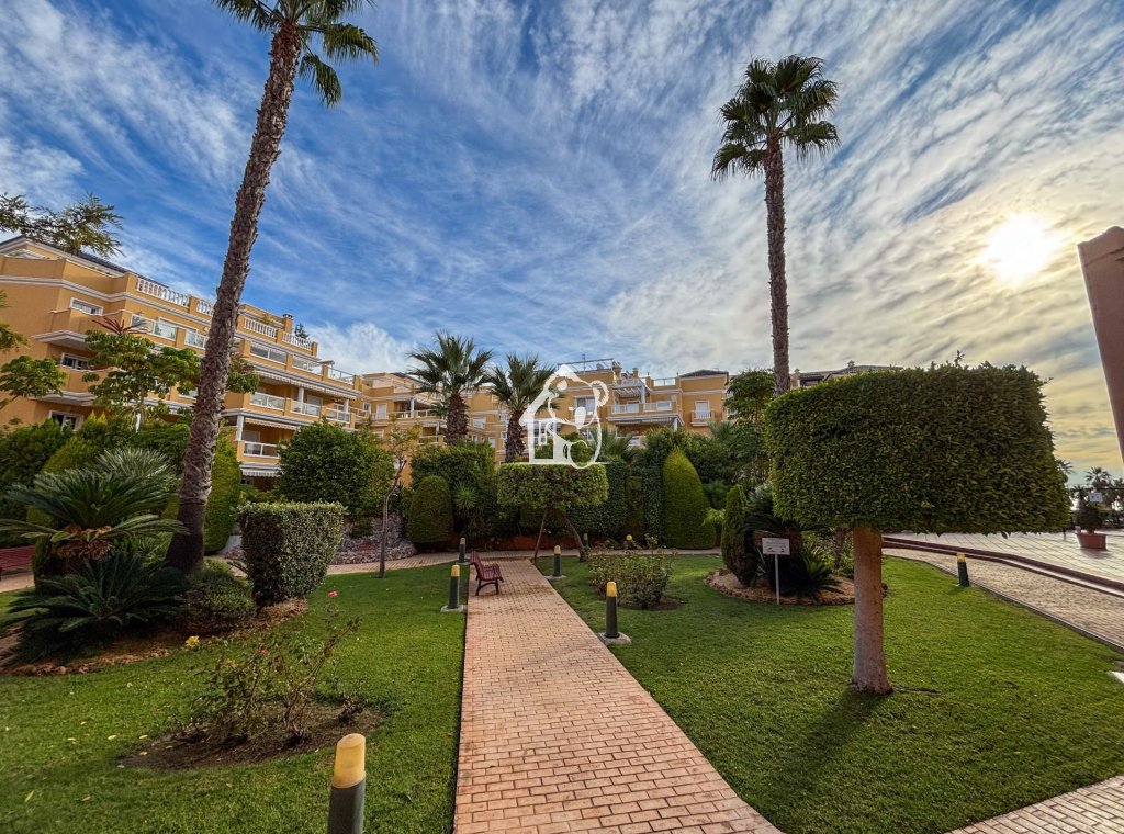 Alquiler - Ático - Orihuela Costa