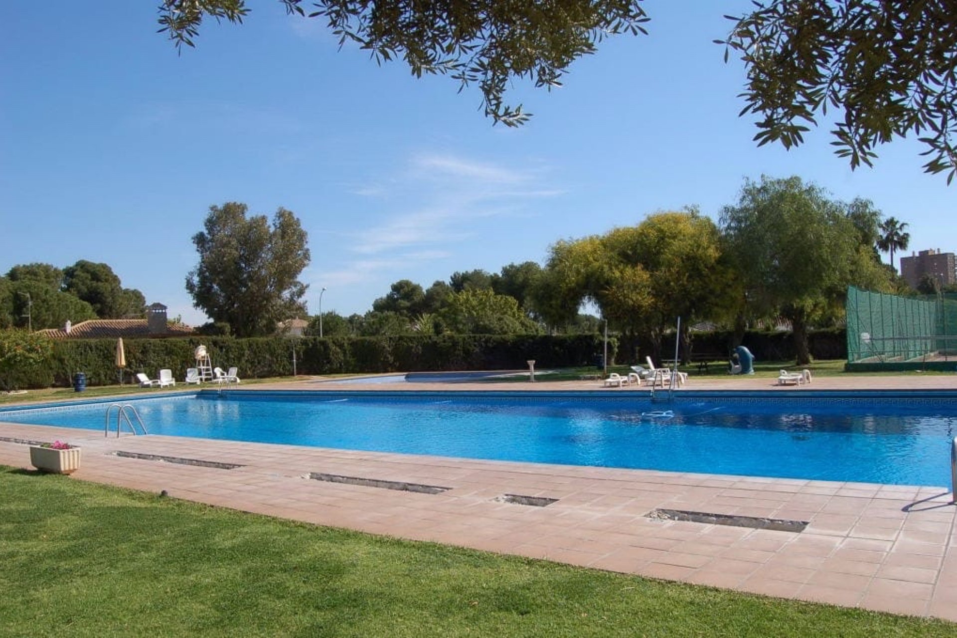 Alquiler - Bungalow - Dehesa de Campoamor