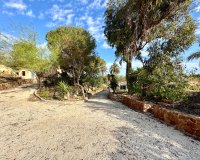 Alquiler - Casa de pueblo - Rojales